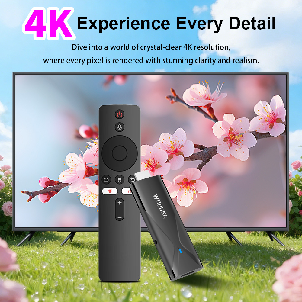 WD08 PRO TV Dongle Android10 A - Netflix Home Cinema 评论和价格